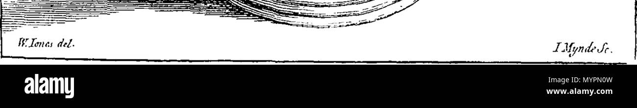 . Inglese: Fleuron dal libro: un saggio sul primo dei principi della filosofia naturale: in cui l uso di mezzi naturali o seconda provoca, nel Oeconomy del mondo materiale, è dimostrata dalla ragione, gli esperimenti di vario genere e la testimonianza dell'antichità. In quattro libri illustrati con rame-piastre. Dal Reverendo William Jones, fine della University College di Oxford; e autore di La dottrina cattolica della Trinità. 324 un saggio sul primo dei principi della filosofia naturale- in cui l uso di mezzi naturali Fleuron T116067-1 Foto Stock