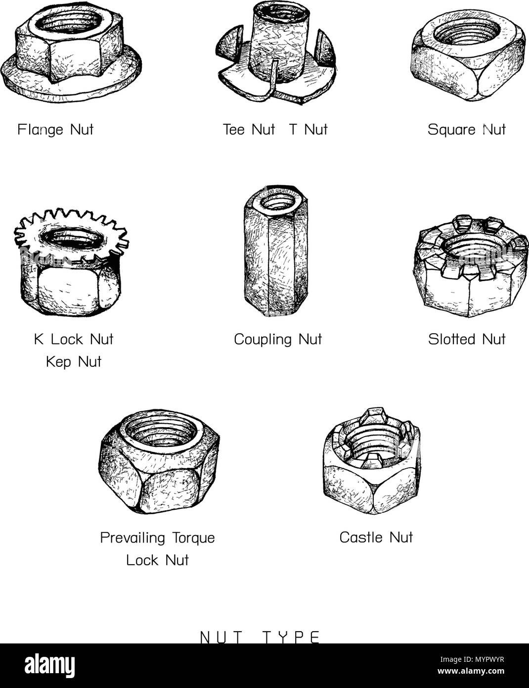La produzione e l'industria, Illustrazione disegnata a mano schizzo set di dadi tipo. Un tipo di dispositivo di fissaggio con foro filettato usato in congiunzione con una coniugata B Illustrazione Vettoriale