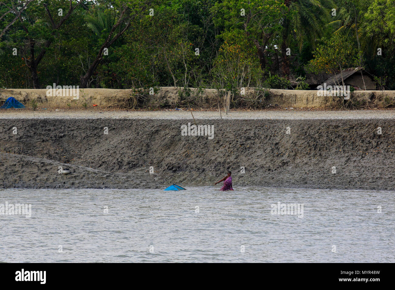 Una donna si ritiene che le catture di gamberetti giovani sul fiume Kholpetua a Gabura vicino Sundarbans. Satkhira, Bangladesh. Foto Stock