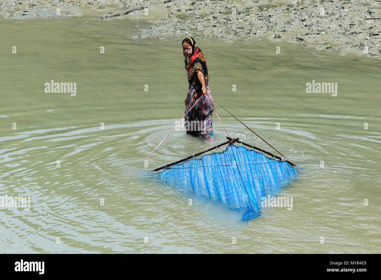 Una donna si ritiene che le catture di gamberetti giovani sul fiume Kholpetua a Gabura vicino Sundarbans. Satkhira, Bangladesh. Foto Stock