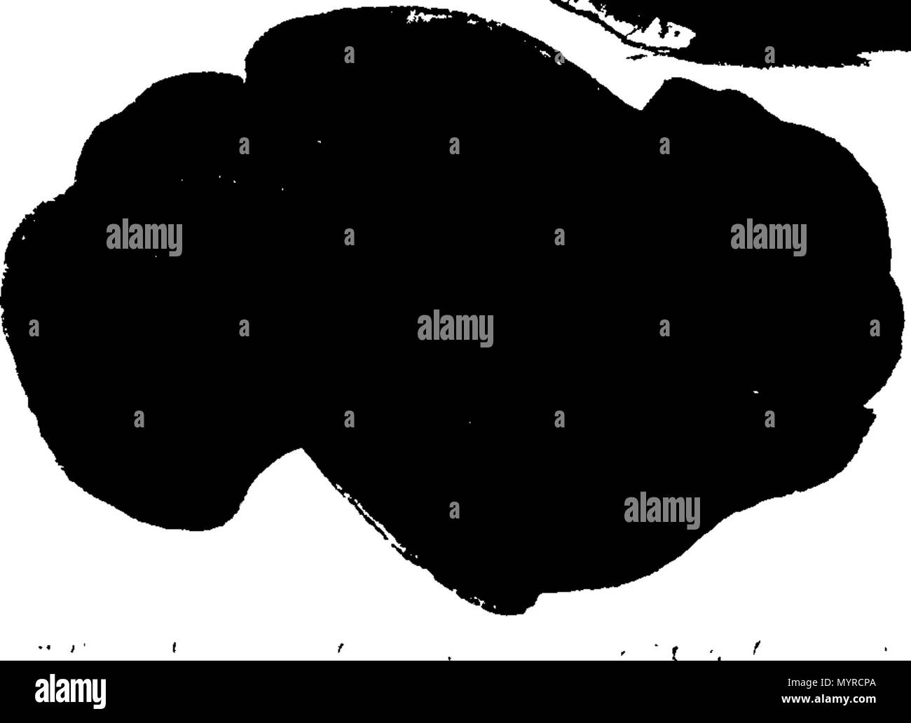 . Inglese: Fleuron dal libro: Una storia di fungusses, crescente per Halifax. ... In cui la loro varietà e diverse apparizioni nelle diverse fasi della crescita, sono esposti fedelmente ... Con una particolare descrizione di ogni specie in tutte le sue fasi ... Da James Bolton, ... 342 Una storia di fungusses, crescente per Halifax Fleuron T084360-9 Foto Stock