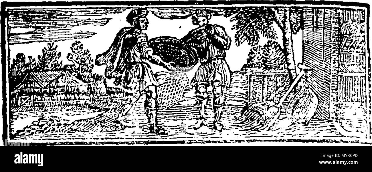 . Inglese: Fleuron dal libro: Una storia di Irlanda, dall'anno 1599 al 1603. Con una breve narrazione dello stato del regno a partire dall'anno 1169. A cui si aggiunge una descrizione dell'Irlanda. Da Fynes Moryson, ... In due volumi. ... 342 Un storia dell Irlanda, dall'anno 1599, a 1603 T Fleuron147799-3 Foto Stock