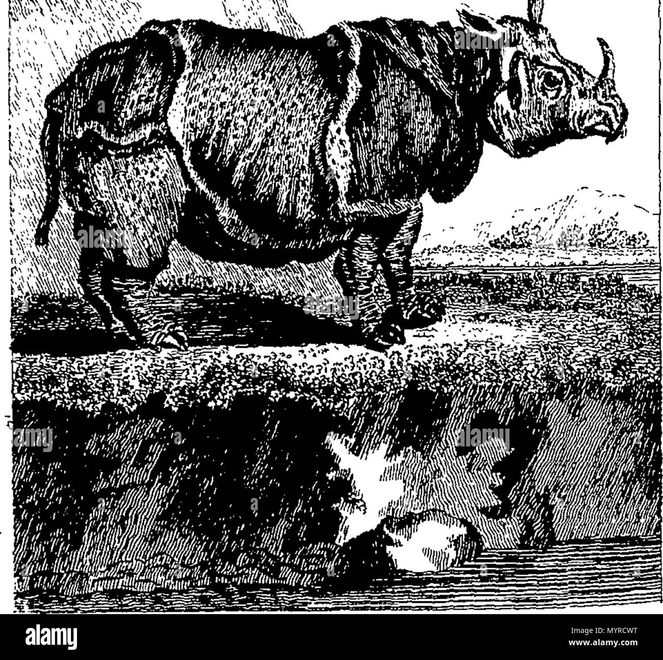 . Inglese: Fleuron dal libro: una storia della terra e la natura animata. In otto volumi. Da Oliver Goldsmith. La terza edizione. ... 343 Una storia della terra e la natura animata Fleuron n033203-43 Foto Stock