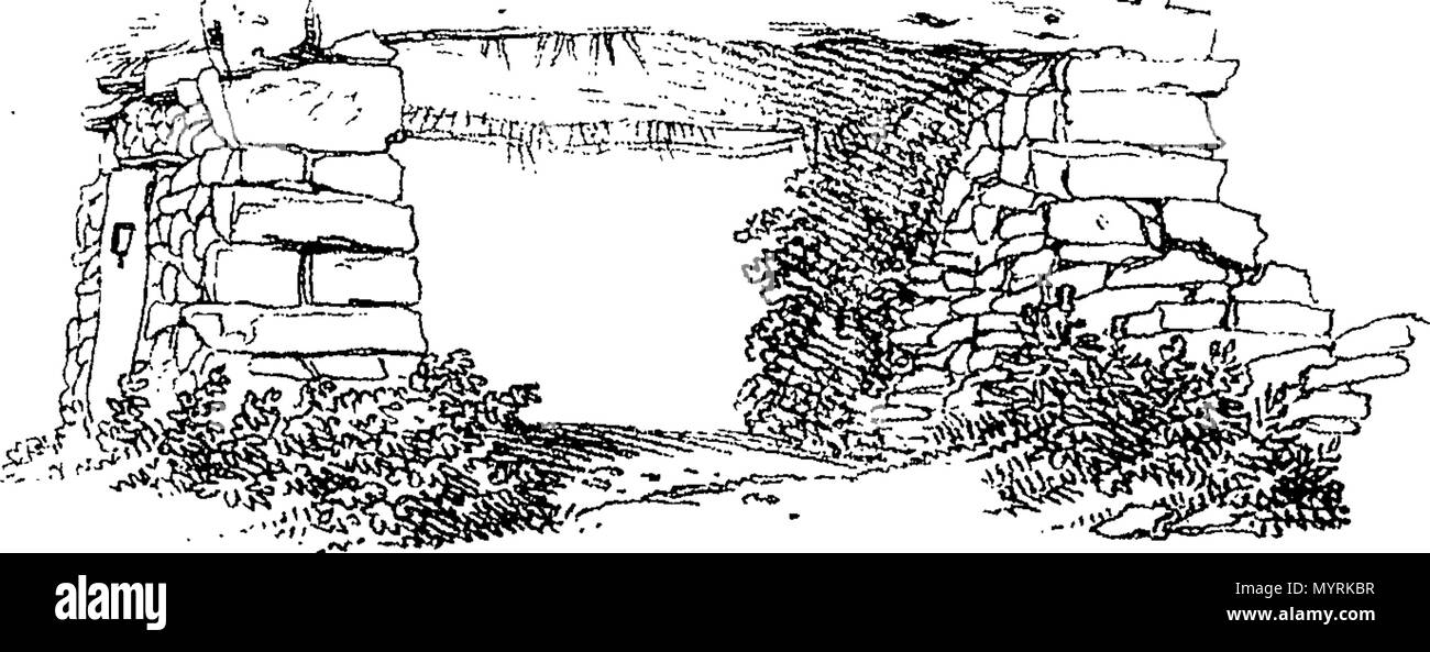 . Inglese: Fleuron dal libro: un saggio sullo studio della natura nel disegno del paesaggio. Da W. M. Craig. Con stampe illustrative, inciso dall'autore. 326 Un saggio sullo studio della natura nel paesaggio di disegno Fleuron T102013-10 Foto Stock