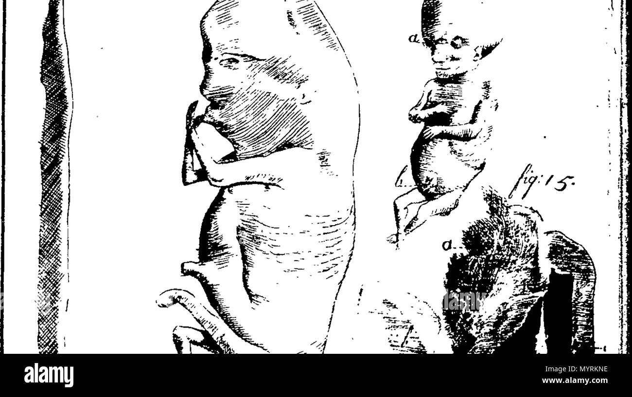 . Inglese: Fleuron dal libro: un saggio verso un nuovo sistema completo di midwifry, teorico e pratico. Insieme con le descrizioni, le cause e i metodi di rimozione o alleviare i disturbi peculiari a donne in stato di gravidanza e giacente in donne e bambini New-Born. Intervallate da alcuni nuovi miglioramenti; per cui le donne possono essere consegnati, nella maggior parte dei casi pericolose, con più facilità, sicurezza e spedizione, rispetto a qualsiasi altro metodo finora praticato: una parte della quale è stata prevista prima della Royal Society di Londra e la società medica a Edimburgo; dopo essere stato perused da molti degli m Foto Stock