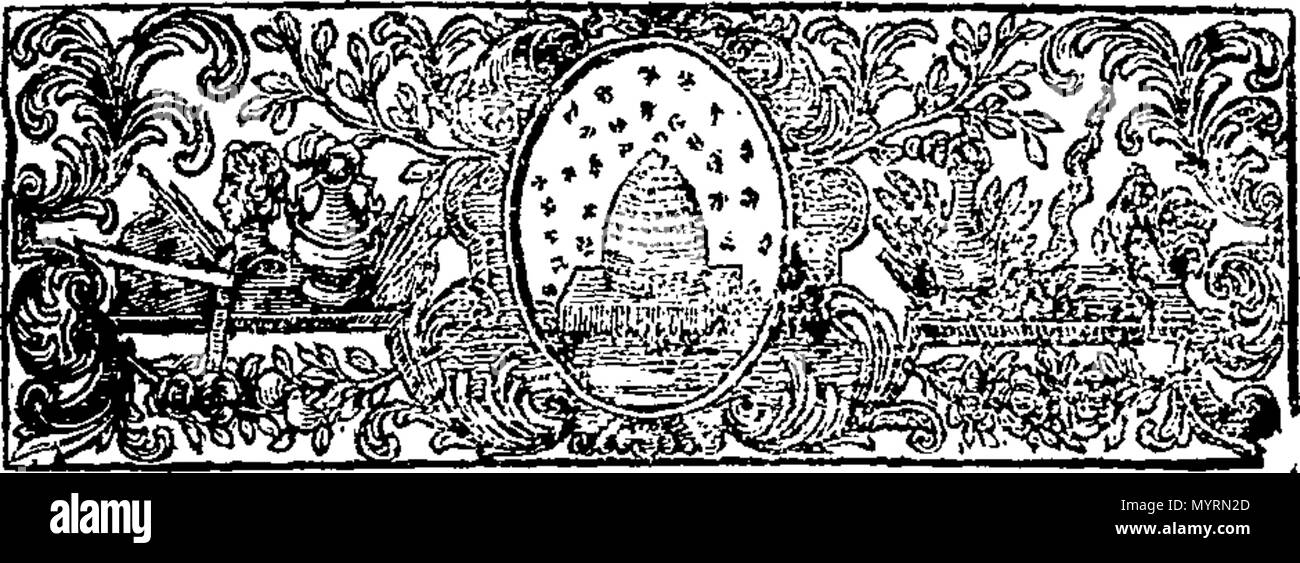 . Inglese: Fleuron dal libro: un esame dello schema della chiesa-potere, stabilite nel Codex Juris ecclesiastici Anglicani, &c. 332 un esame dello schema della chiesa-potere, stabilite nel Codex Juris ecclesiastici Anglicani, etc Fleuron T102479-5 Foto Stock
