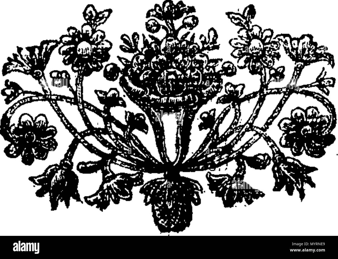 . Inglese: Fleuron dal libro: un'esposizione del Nuovo Testamento, in tre volumi: in cui il senso del testo sacro è dato; dottrinali e pratiche verità sono impostati in un semplice e facile la luce, luoghi difficili spiegato, apparenti contraddizioni riconciliati; tutto ciò che è materiale in diverse letture, e le diverse versioni orientali, viene osservata. Il tutto illustrato con Note tratte dalle più antiche Scritture ebraiche. ... Da John Gill. 333 una esposizione del Nuovo Testamento Fleuron T093021-7 Foto Stock