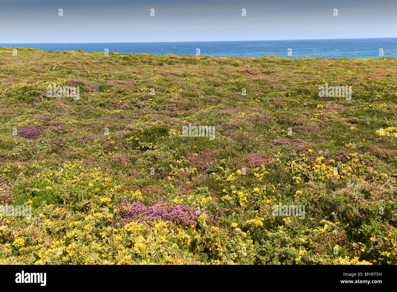 Promontorio costiero e rocce vicino a Ribadeo in Galizia Spagna settentrionale Foto Stock