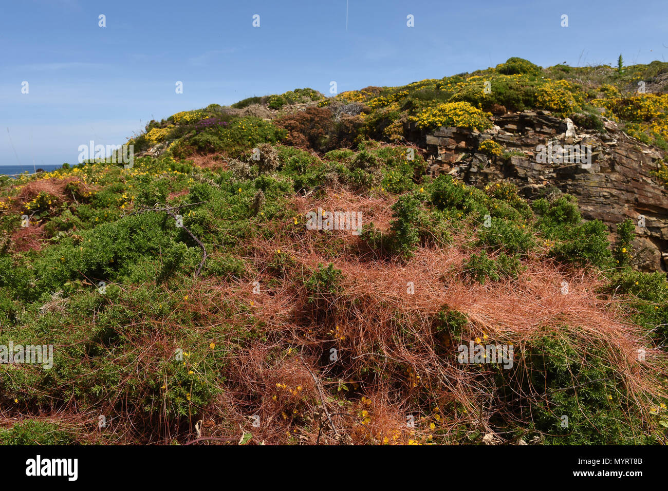 Promontorio costiero e rocce vicino a Ribadeo in Galizia Spagna settentrionale Foto Stock