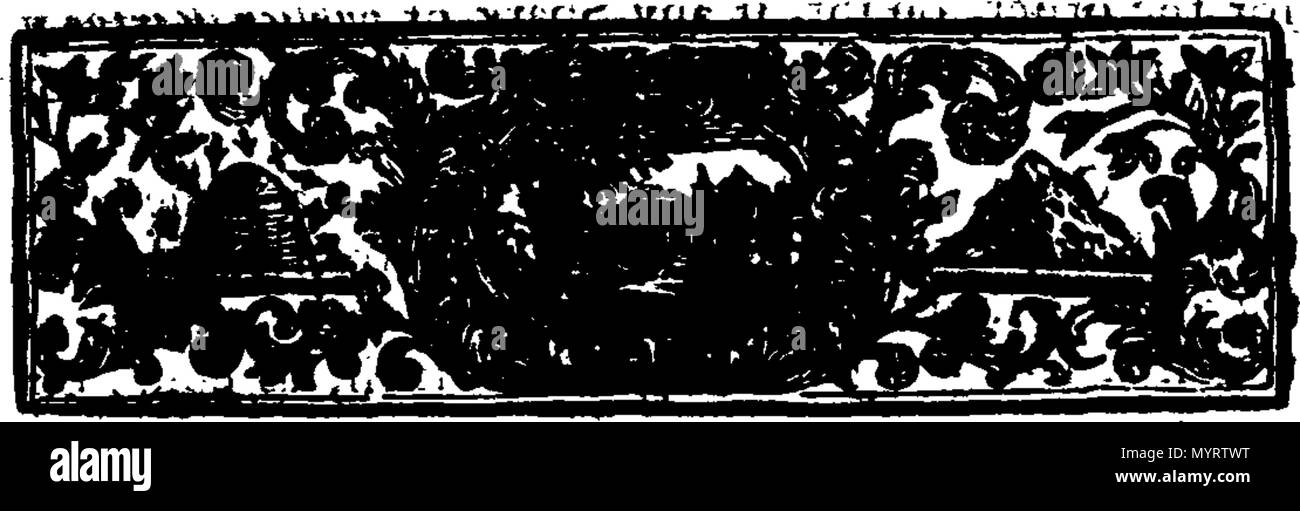 . Inglese: Fleuron dal libro: un'indagine in alcune cause della cattiva situazione degli affari di Irlanda. 346 Un indagine su alcune delle cause della cattiva situazione degli affari di Irlanda. Fleuron T028438-3 Foto Stock