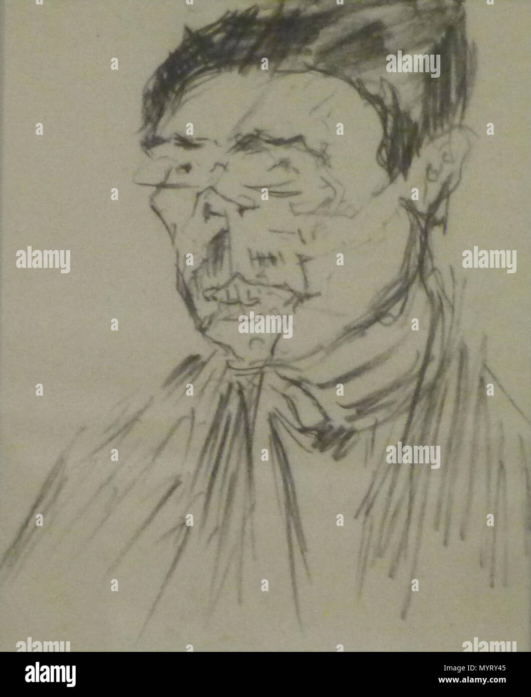 Schmalzigaug - 7 portretten (2) . 29 ottobre 2016, 14:51:03. JoJan 91 Schmalzigaug - 7 portretten (2) Foto Stock