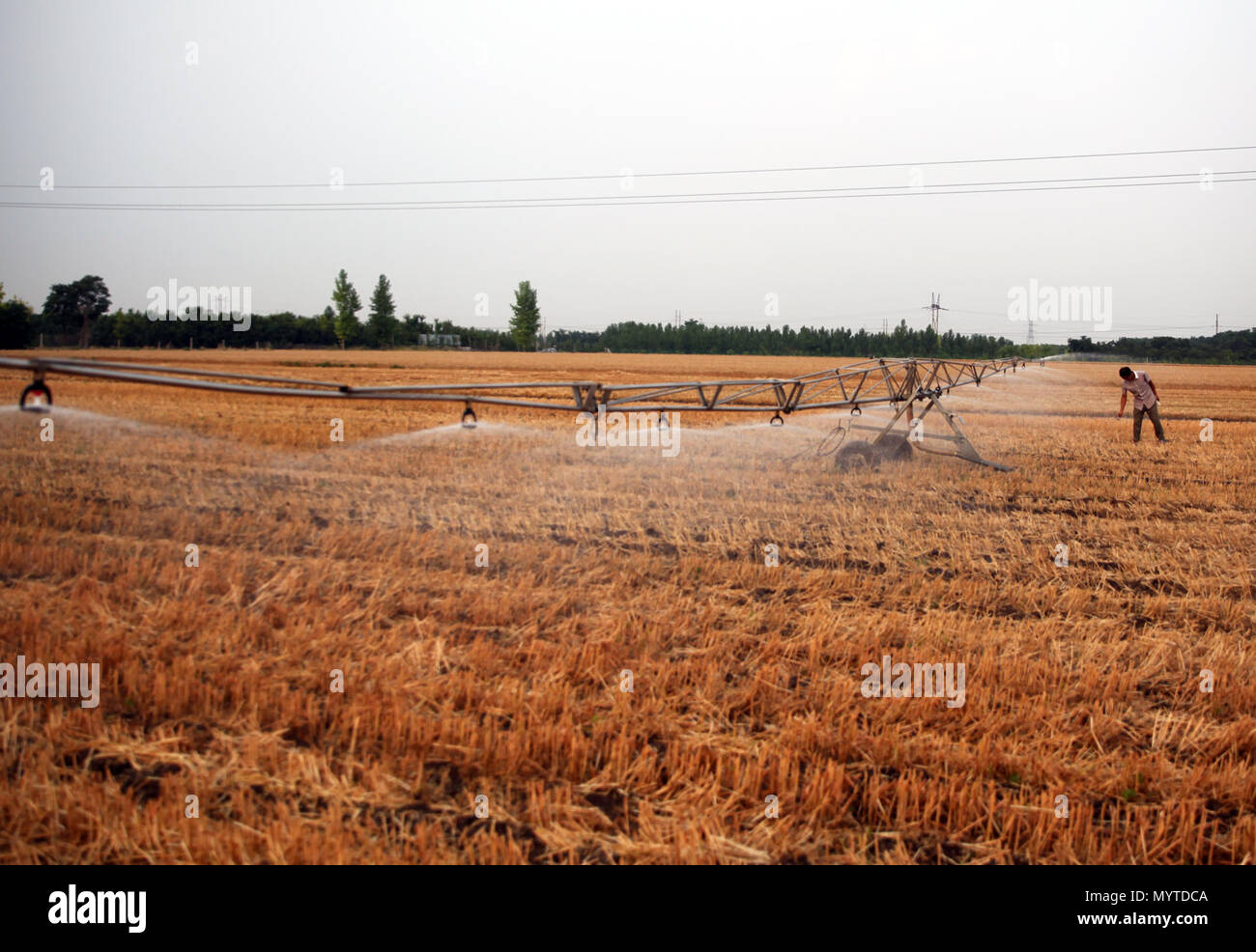 Zibo, la Cina della provincia dello Shandong. Il 7 giugno, 2018. Un impianto sprinkler automatico irriga appena piantato il mais in un campo di Linzi distretto della città di Zibo, est della Cina di Provincia di Shandong, 7 giugno 2018. La meccanizzazione agricola in Linzi Distretto è stata notevolmente migliorata in questi ultimi anni per aiutare gli agricoltori locali fare in modo più efficiente in lavori agricoli. Credito: cui Lilai/Xinhua/Alamy Live News Foto Stock