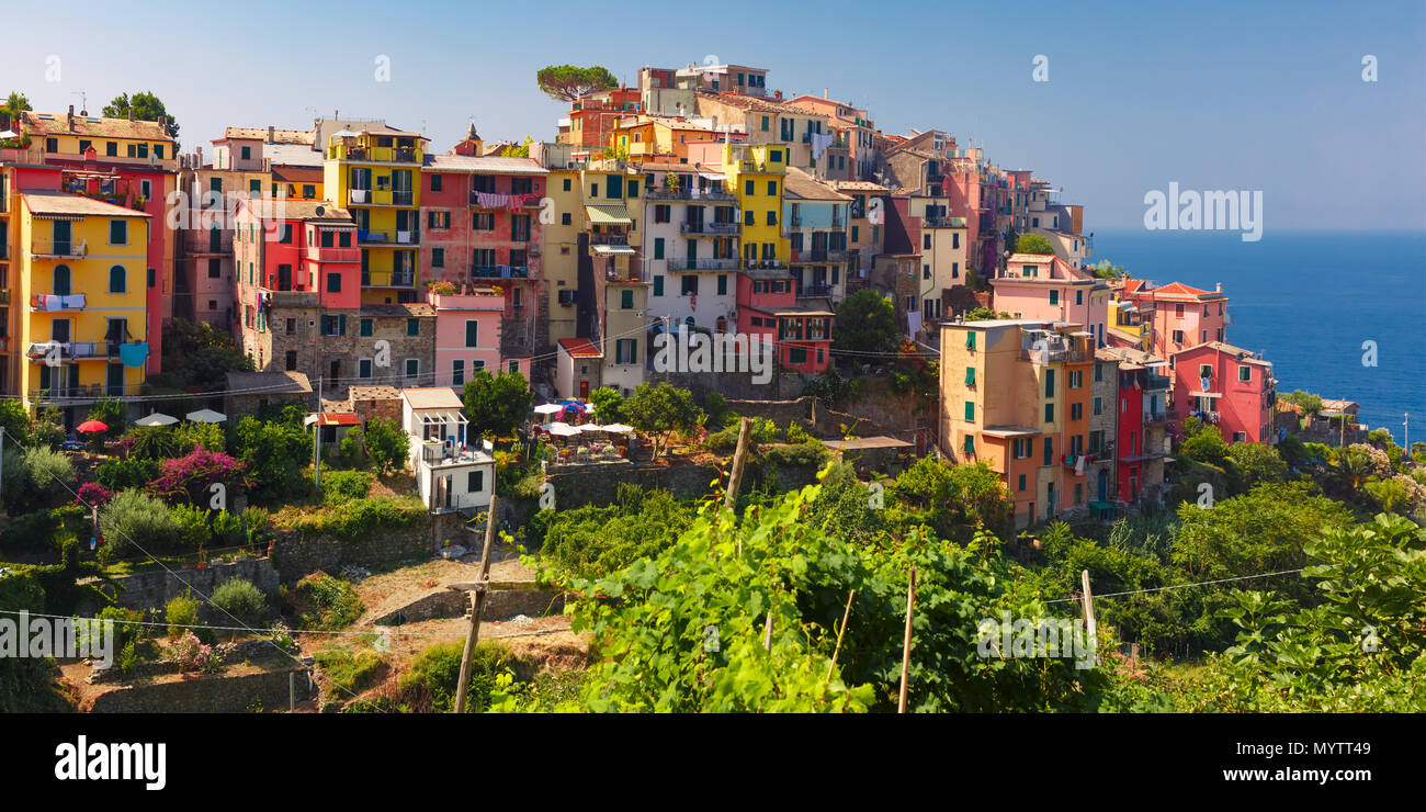 Antenna vista panoramica di Corniglia villaggio di pescatori in cinque terre, il Parco Nazionale delle Cinque Terre, Liguria, Italia. Foto Stock
