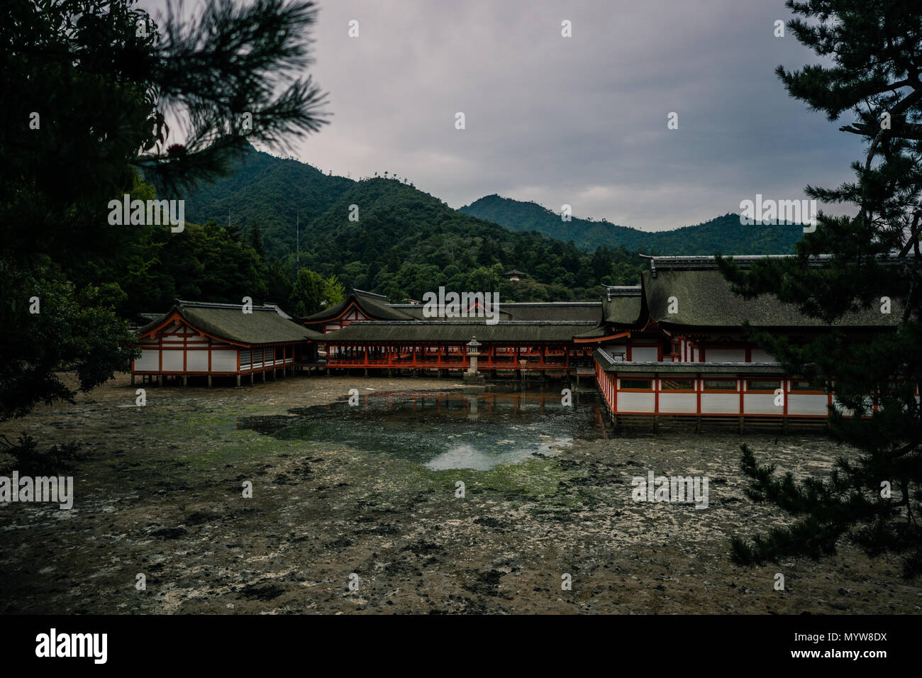 Santuario di Itsukushima a bassa marea Foto Stock