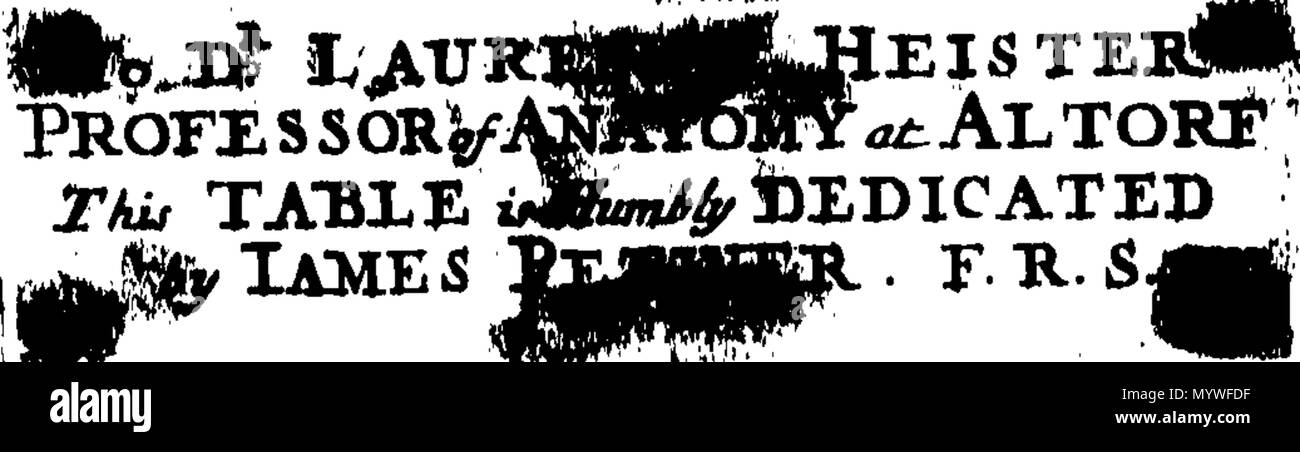. Inglese: Fleuron dal libro: Aquatilium animalium Amboin?, &c. icones & nomina. Contenenti vicino a 400 figure, engraven su piastre di rame Crustaceous Aquatick e Testaceous animali; come aragoste, aragoste, gamberi e gamberetti, Sea-Urchins, uova, pulsanti, stelle Couries, Concks, Perywinkles, conchiglia, ostriche, muscoli, cardidi, fronzoli, fa le fusa, Capesante con subacquei altri tipi di Mare e Fiume Shell-Fish; tutti trovati circa Amboina, e la vicina Indian Shores, con loro in latino, inglese e olandese e i nomi dei nativi. Da Giacomo Petiver, speziale; F. R. S. Londra. 373 Aquatilium animalium Amboin Fleuro Foto Stock