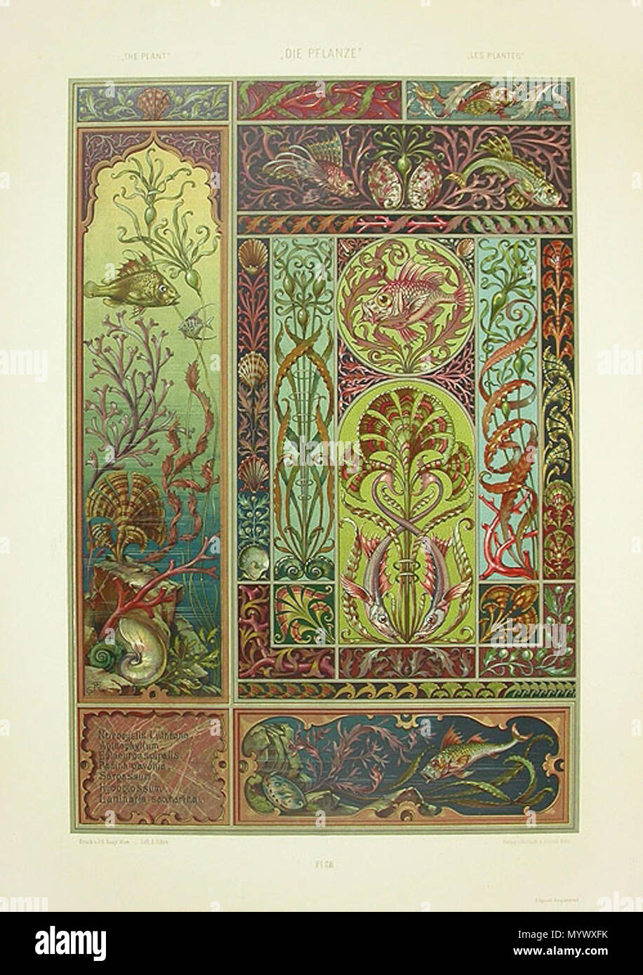 . Deutsch: Lithografie im Jugendstil aus dem Jahr 1890 von Anton Seder (1850-1916), Titel unbekannt . Il 20 settembre 2012, 09:20:25. Anton Seder 370 Anton Seder Sealife Foto Stock
