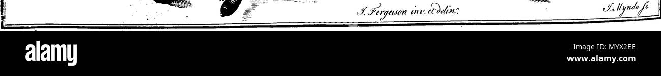 . Inglese: Fleuron dal libro: Astronomia ha spiegato al Sir Isaac Newton, principi e reso facile per coloro che non hanno studiato matematica. Ai quali si sono aggiunti, un semplice metodo per trovare le distanze di tutti i pianeti dal sole, dal transito di Venere sopra il disco del sole, nell'anno 1761. Un account del sig. Horrox di osservazione del Transito di Venere nel 1639: e delle distanze di tutti i pianeti dal sole, come si evince dalle osservazioni del transito nell'anno 1761. Da James Ferguson, F. R. S. 384 Astronomia ha spiegato al Sir Isaac Newton, principi e reso facile t Foto Stock