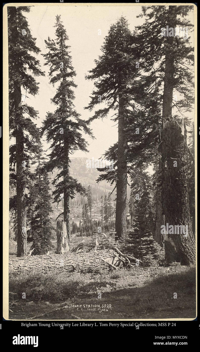 Chiamare il numero #: mss P24 scatola 4 Cartella 4 . MSS 446 P 24 B4 F4. circa 1891 22 Stazione di vertice, S.P.R.R. C.R. Savage foto Foto Stock