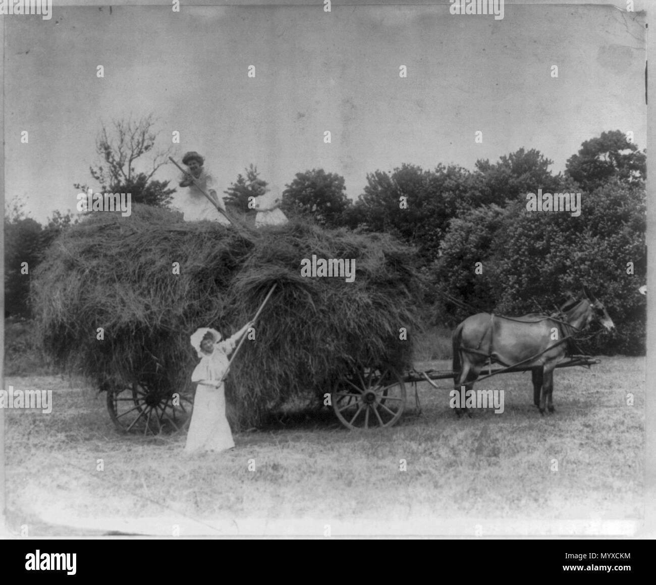 Nel buon vecchio tempo di estate Foto Stock