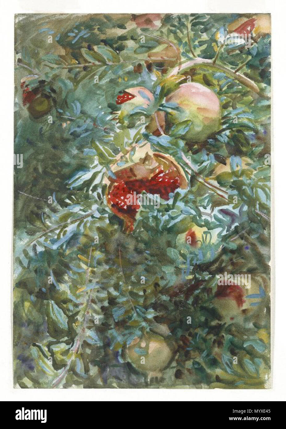 . Melograni . circa 1908 17 Brooklyn Museum - Melograno - John Singer Sargent Foto Stock