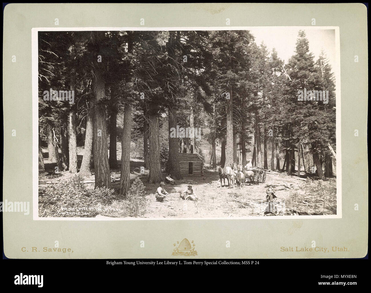 Chiamare il numero #: mss P24 scatola 7 Cartella 2 . MSS 588 P 24 B7 F2. circa 1892 o 1894 18 Picnic Grove, Mt. Tallac Park, Lago Tahoe Cal. Foto Stock Chiamare il numero #: mss P24 scatola 7 Cartella 2 . MSS 588 P 24 B7 F2. circa 1892 o 1894 18 Picnic Grove, Mt. Tallac Park, Lago Tahoe Cal. Foto Stock