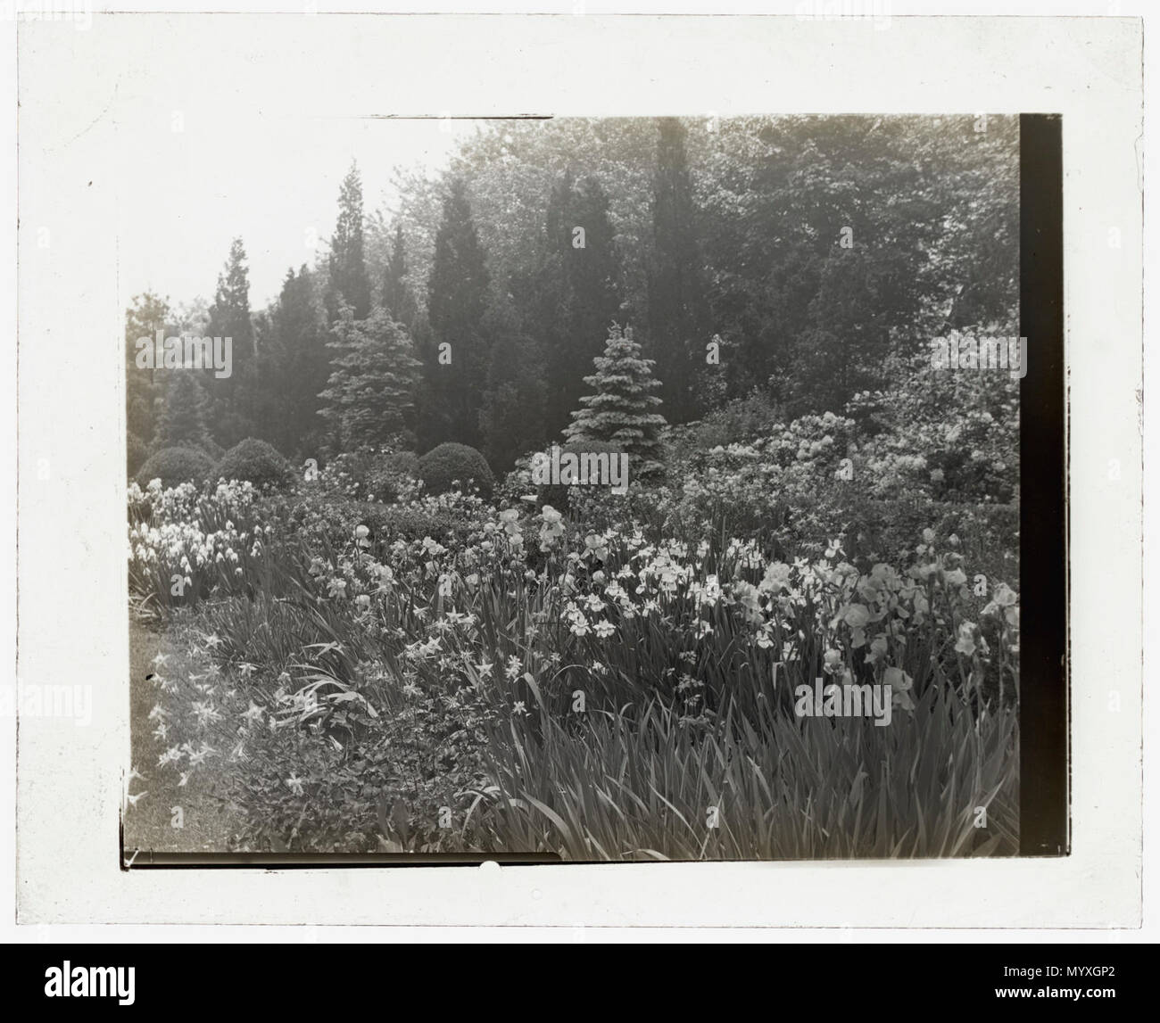 Killenworth, George Dupont Pratt house, Glen Cove, New York. Confine di fiori Foto Stock