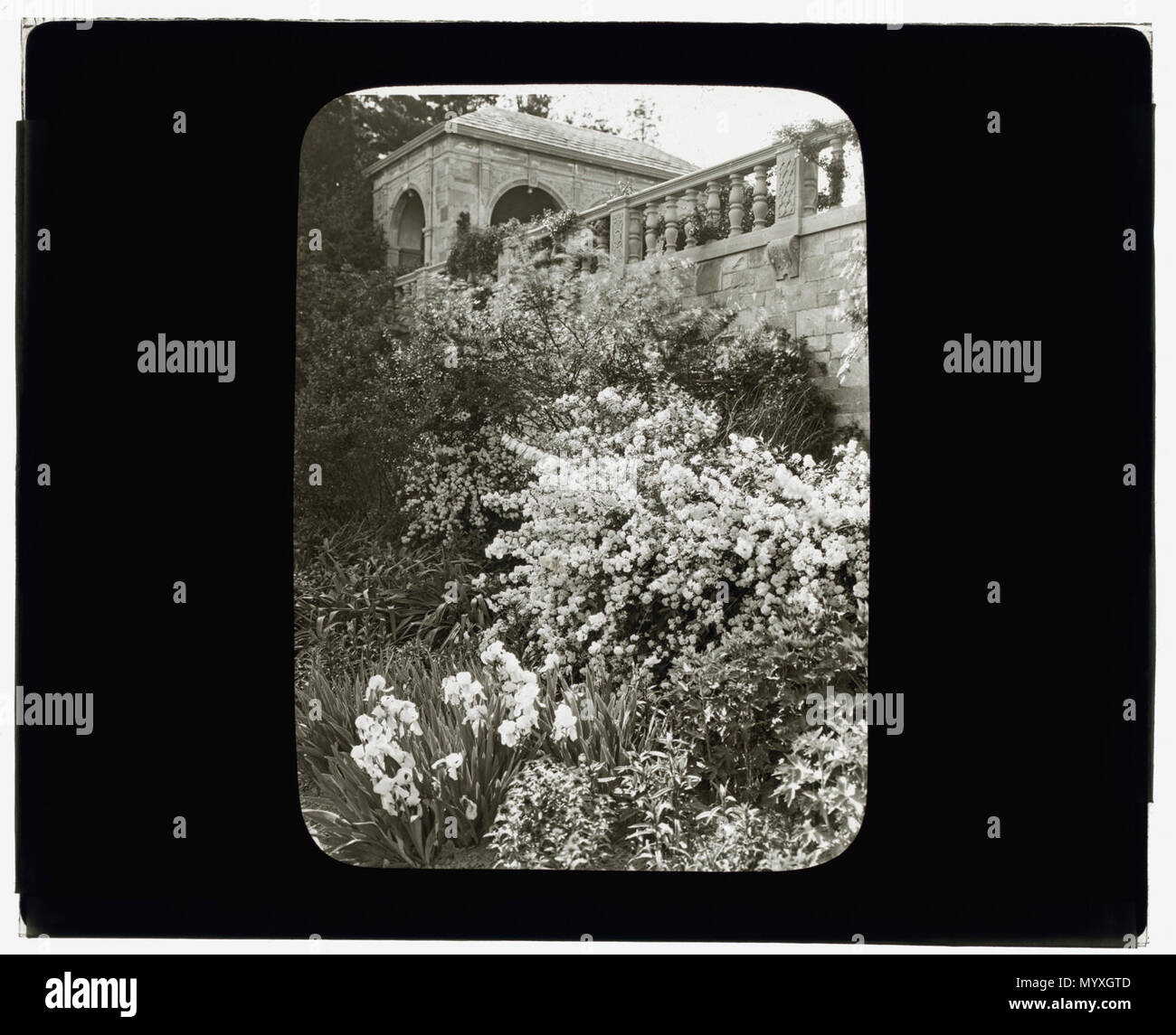 Killenworth, George Dupont Pratt house, Glen Cove, New York. Vista del padiglione Tè Foto Stock