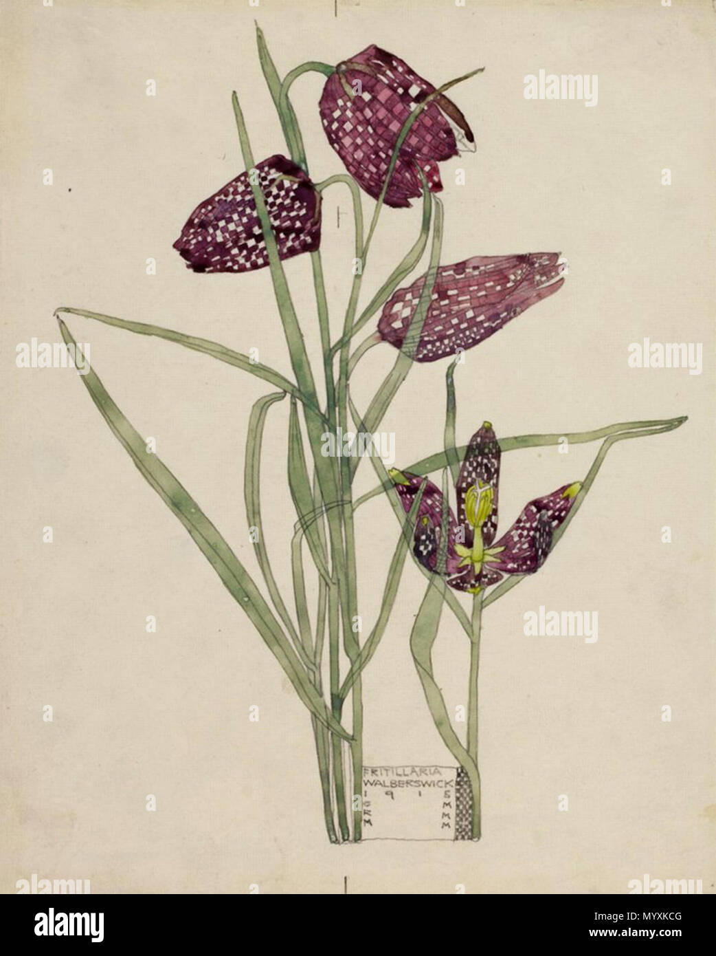 . Inglese: Fritillaria. Walberswick. Charles & Margaret Mackintosh. 1915 . 1915. Charles Rennie Mackintosh (1868-1928) nomi alternativi Charles Rennie Mackintosh Descrizione British architetto, pittore, disegnatore e scultore Data di nascita e morte 7 Giugno 1868 10 dicembre 1928 Luogo di nascita e morte Glasgow Londra sede di lavoro Glasgow, London Authority control : Q220703 VIAF:?ISNI 74645185:?0000 0001 0916 5379 ULAN:?500022117 LCCN:?n79109001 NLA:?35320010 WorldCat Margaret MacDonald (1865-1933) nomi alternativi Margaret Macdonald Descrizione artista britannico Data di bir Foto Stock . Inglese: Fritillaria. Walberswick. Charles & Margaret Mackintosh. 1915 . 1915. Charles Rennie Mackintosh (1868-1928) nomi alternativi Charles Rennie Mackintosh Descrizione British architetto, pittore, disegnatore e scultore Data di nascita e morte 7 Giugno 1868 10 dicembre 1928 Luogo di nascita e morte Glasgow Londra sede di lavoro Glasgow, London Authority control : Q220703 VIAF:?ISNI 74645185:?0000 0001 0916 5379 ULAN:?500022117 LCCN:?n79109001 NLA:?35320010 WorldCat Margaret MacDonald (1865-1933) nomi alternativi Margaret Macdonald Descrizione artista britannico Data di bir Foto Stock