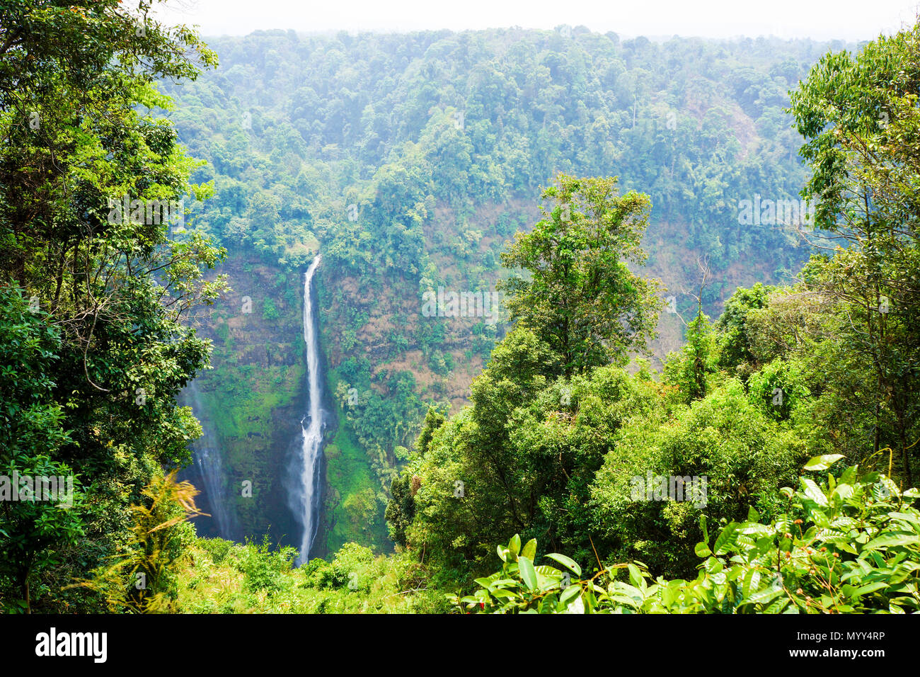 Linea di streaming cascata dalla montagna alta in Laos Foto Stock