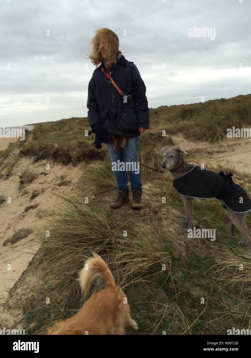 Winterton-on-Sea, Great Yarmouth, Norfolk, Regno Unito. Xii gen, 2015. Giornata di vento per una passeggiata sulle dune. Le previsioni meteo per raffiche fino a 20 mph in Norfolk sulla spiaggia. Credito: Sidney Bruere/StockimoNews/Alamy Live News Foto Stock
