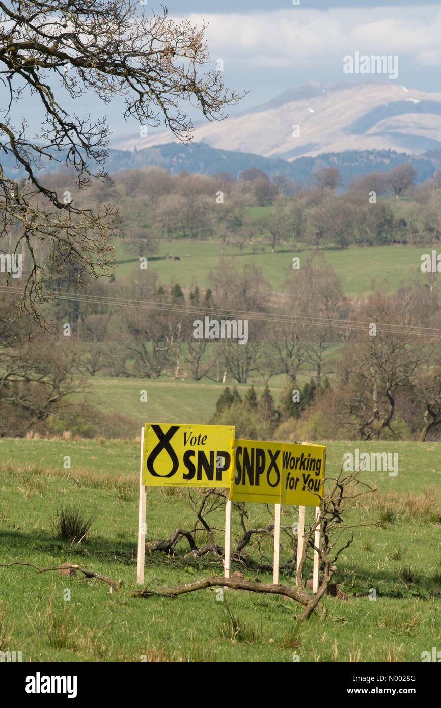 Balfron, Stirlingshire, Scotland, Regno Unito - 17 Aprile 2015: elezioni generali britanniche - Grande segno SNP in campo il supporto di Steven Paterson SNP candidato per Stirling. Stirling è attualmente una sede di lavoro. Credito: Kay Roxby / StockimoNews/Alamy Live News Foto Stock