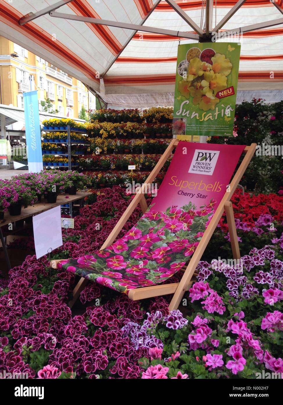 21, Bolzano BZ, Italia. 30 apr, 2015. Fiori mostrano a Bolzano, Italia Credito: Anca Emanuela Teaca/StockimoNews/Alamy Live News Foto Stock