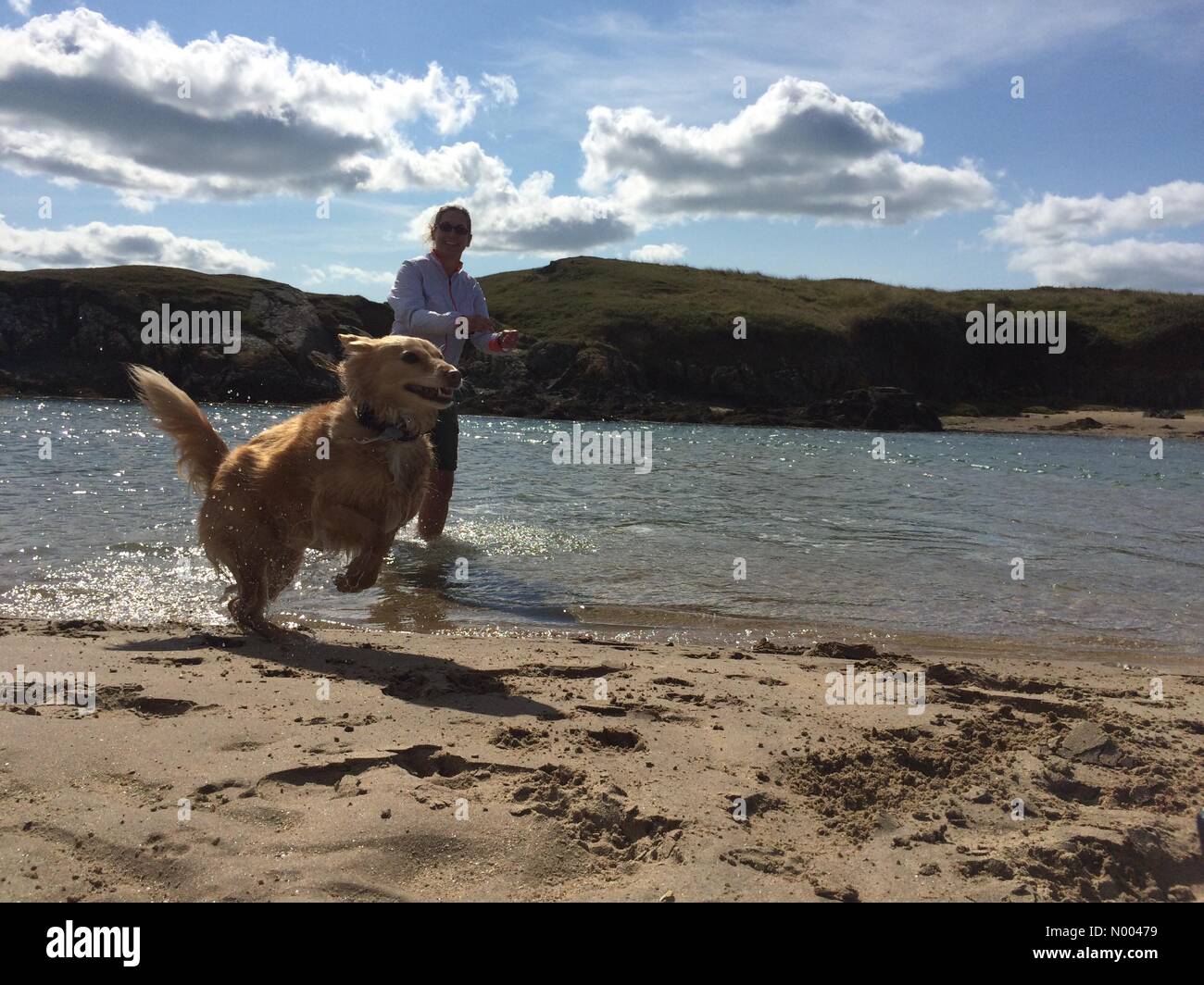 Aberffraw, Ty Croes, Isola di Anglesey, Regno Unito. 05 Sep, 2015. Regno Unito Meteo. Una donna cerca di incoraggiare il suo cane nell'estuario su un bel sabato pomeriggio in Anglesey. Il cane è stato avente nessuna di esse. Credito: Sidney Bruere/StockimoNews/Alamy Live News Foto Stock