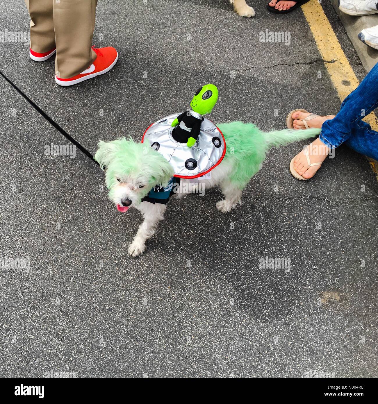 Palm Desert, California USA Ottobre 25, 2015 La cinquantunesima annuale di Palm Desert Golf Cart Parade. Il tema di quest anno è di Area 51: Palm Desert è al di fuori di questo mondo. Credito: Lisa Werner Stockimo/news/Alamy Foto Stock