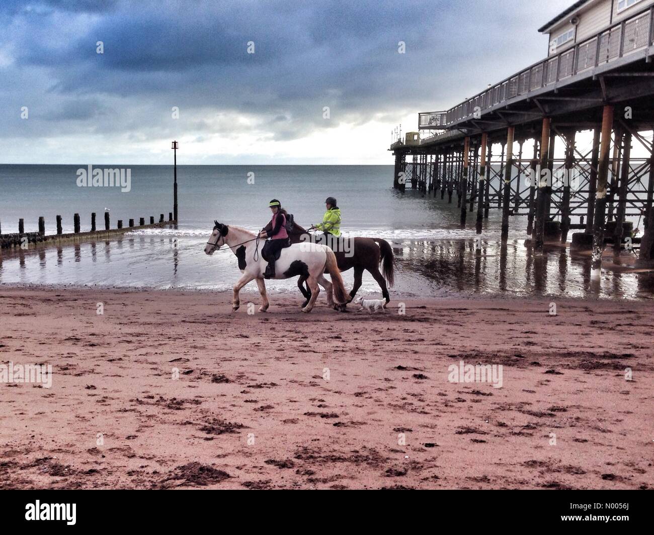Regno Unito Meteo: passeggiate a cavallo sulla spiaggia di Teignmouth Foto Stock