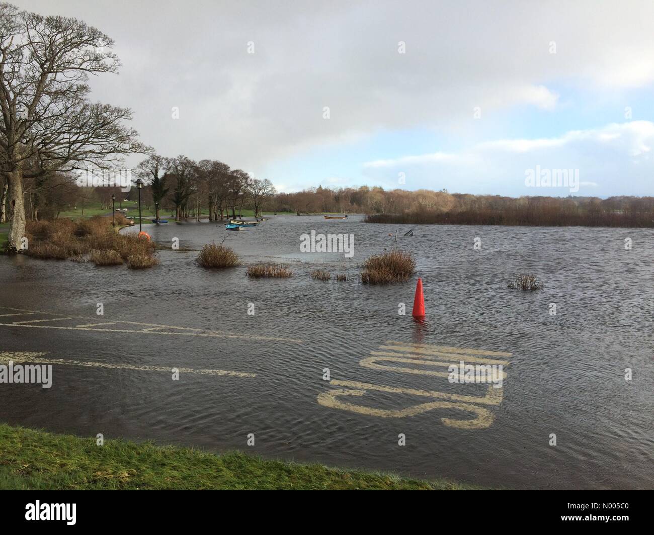 Sommersa strada di campagna nel golf Killarney e club di pesca Fossa e Lough Leane lago alluvione d'acqua alta a partire dal 2015 a Killarney, County Kerry, Irlanda. Foto Stock