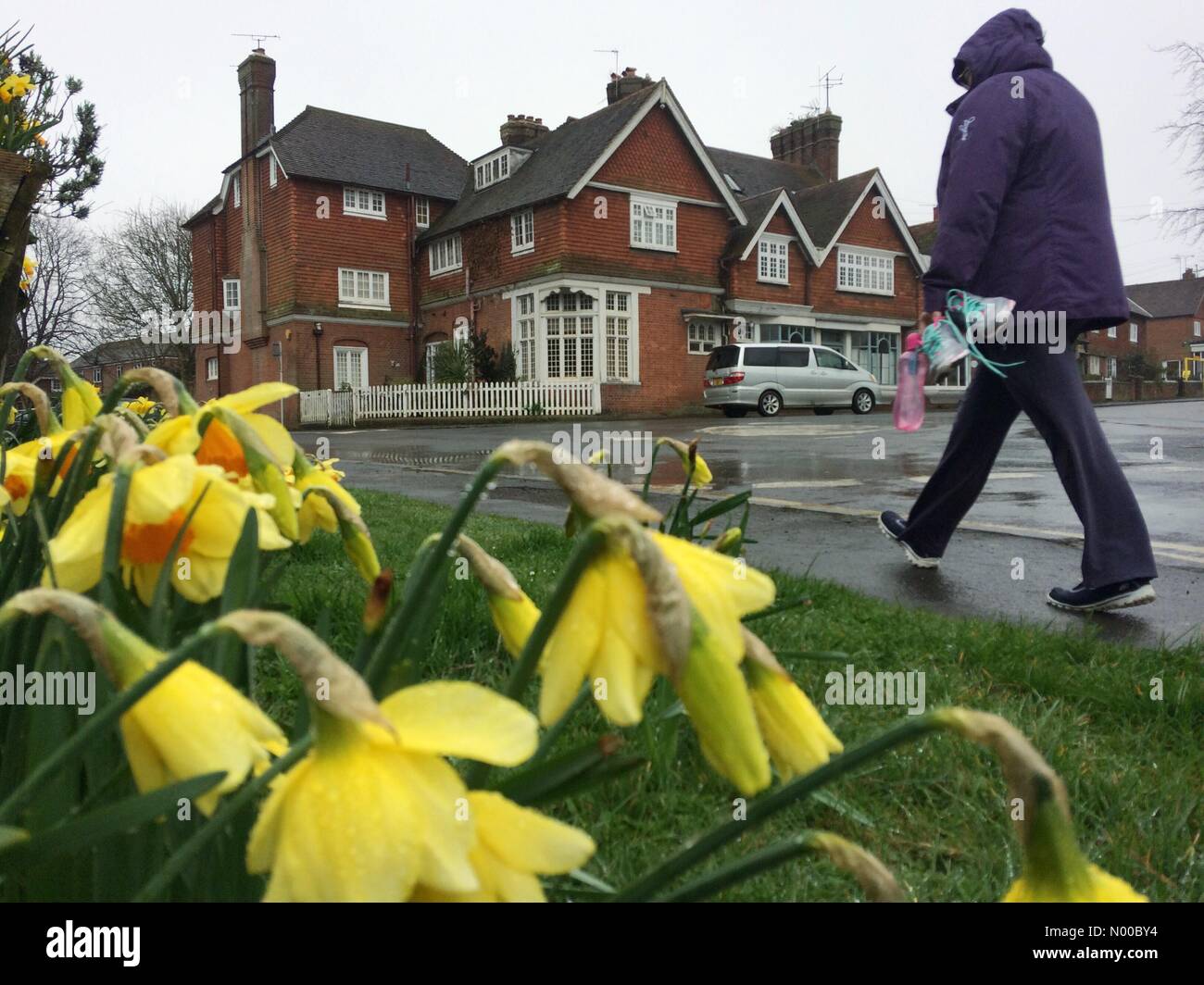 Barcombe, eri Sussex, Regno Unito. Xx Marzo 2017. Bagnato e ventoso equinozio di primavera, che segna il primo giorno di primavera. Credito: Peter Cripps / StockimoNews/Alamy Live News Foto Stock