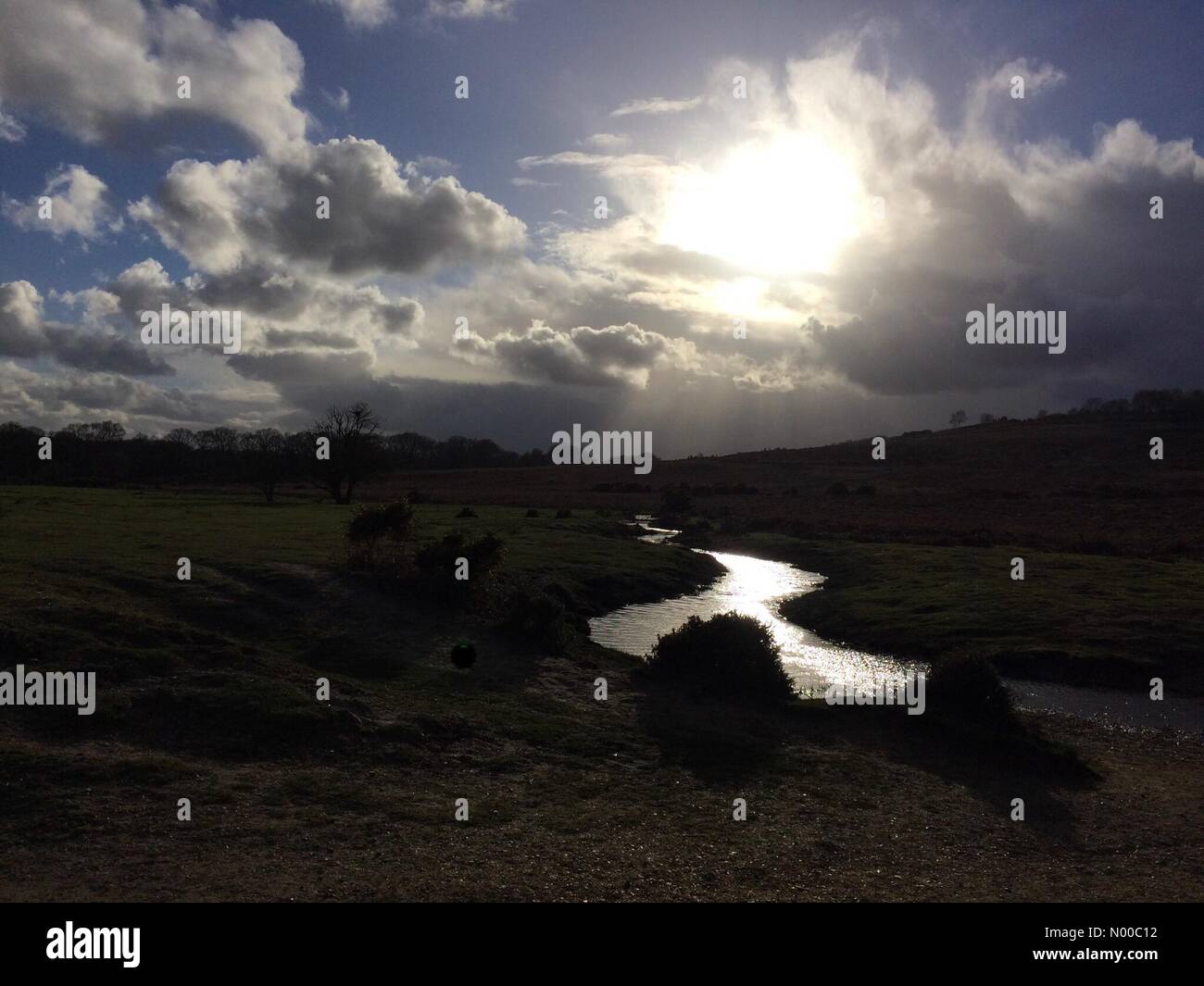 New Forest, Hampshire, Regno Unito. Xxi Marzo 2017. Regno Unito Meteo. Acquazzoni approccio la nuova foresta, Hampshire, portato da un freddo vento pieno sul primo giorno di primavera astronomica. Credito: PA Biggins / StockimoNews/Alamy Live News Foto Stock