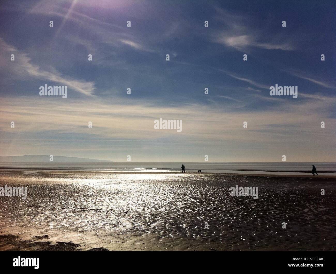 Troon, Regno Unito. 25 Mar, 2017. Una giornata perfetta per escursionisti di cani sulla spiaggia a Troon Scozia, Regno Unito sabato Credito: Alan/StockimoNews/Alamy Live News Foto Stock