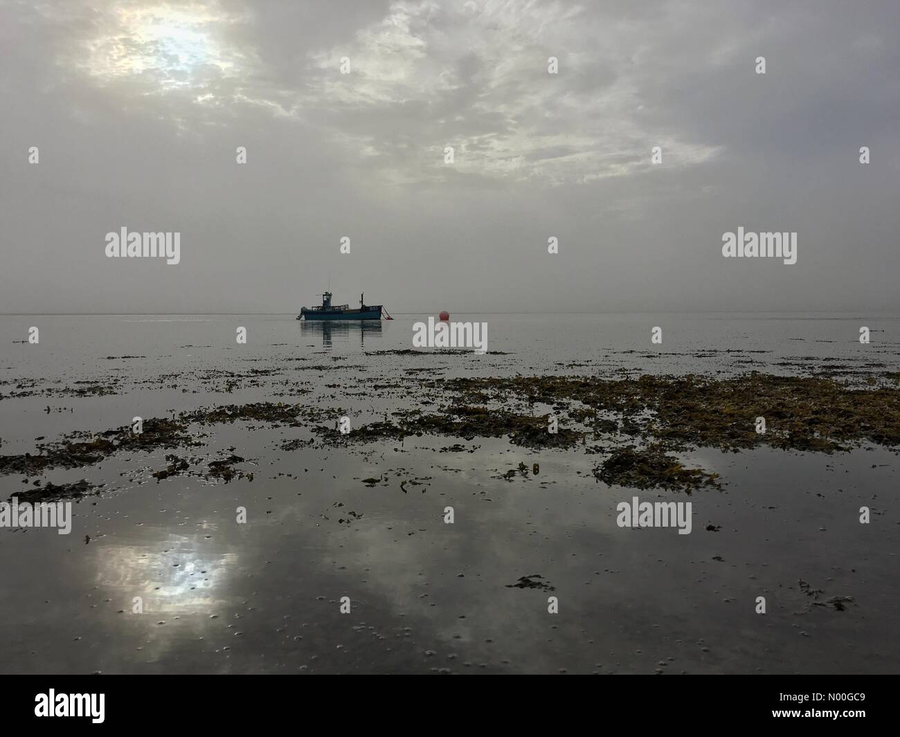 Regno Unito: Meteo nebbiosa mattina su Anglesey. Barca ormeggiata su Stretto di Menai Foto Stock
