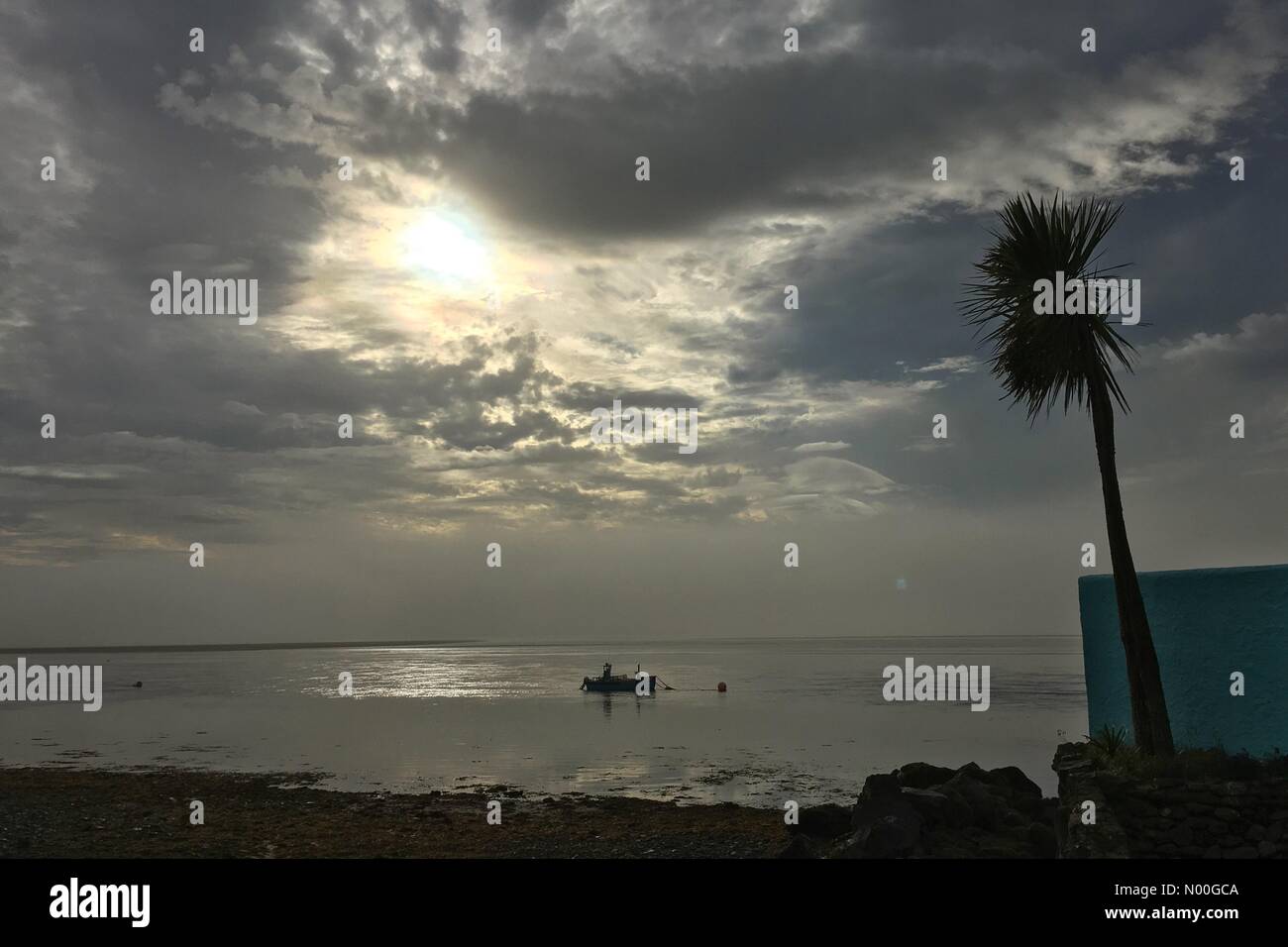 Regno Unito: Meteo nebbiosa mattina su Anglesey. Guardando oltre il Menai Strait verso Caernarfon. Foto Stock