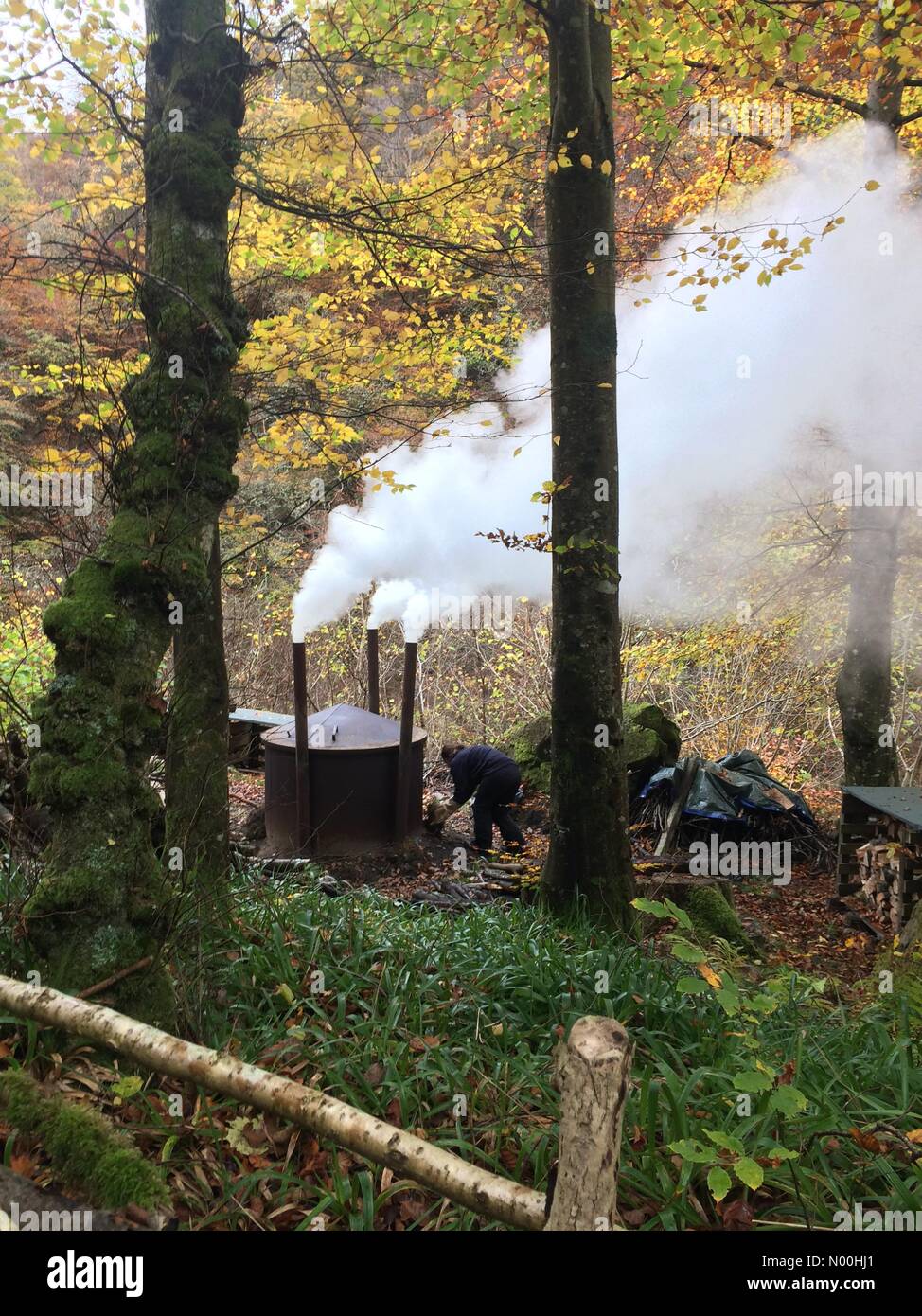 Meteo stagionale autunno ambiance, lento bruciare carbone forno drifting fumo verso l'alto attraverso i boschi sulle rive del fiume garry, national Trust for Scotland venue, nel pass di killiecrankie Foto Stock