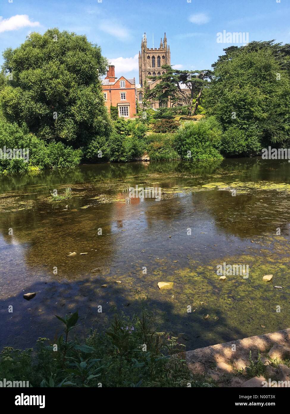 Regno Unito Meteo- tempo caldo a bassa fiume Wye Hereford - Il fiume Wye è stata di soli 17cm oggi come si passa la Cattedrale di Hereford su un altro caldo giorno asciutto con temp locale di 27c Foto Stock