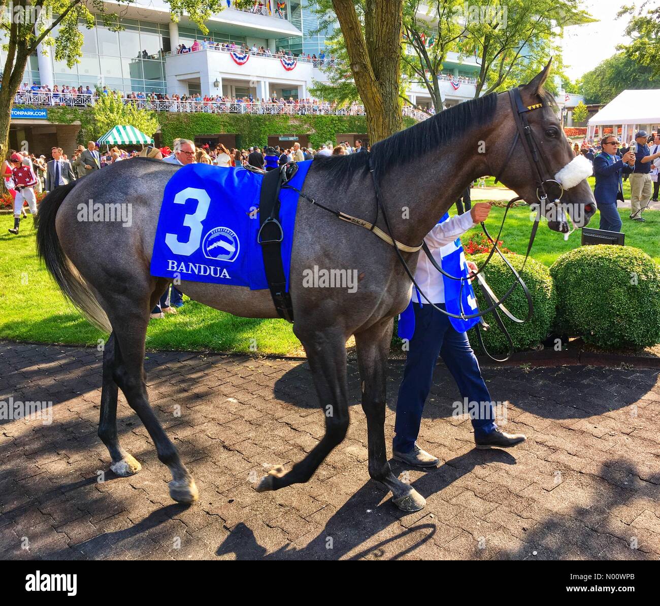 Arlington milioni di giorno, 11 agosto 2018, Arlington Heights, Ill, STATI UNITI D'AMERICA, top turf cavalli corrono in svariati milioni di dollari di grado 1 gare di fondo erboso, DianaJ/StockimoNews/Alamy Credito: Diana J./StockimoNews/Alamy Live News Foto Stock