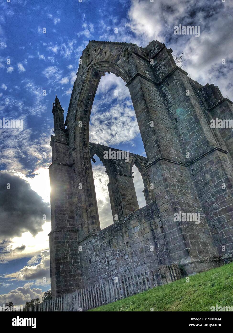 Inaspettato bella giornata di sole a Bolton Abbey North Yorkshire Regno Unito Meteo Foto Stock