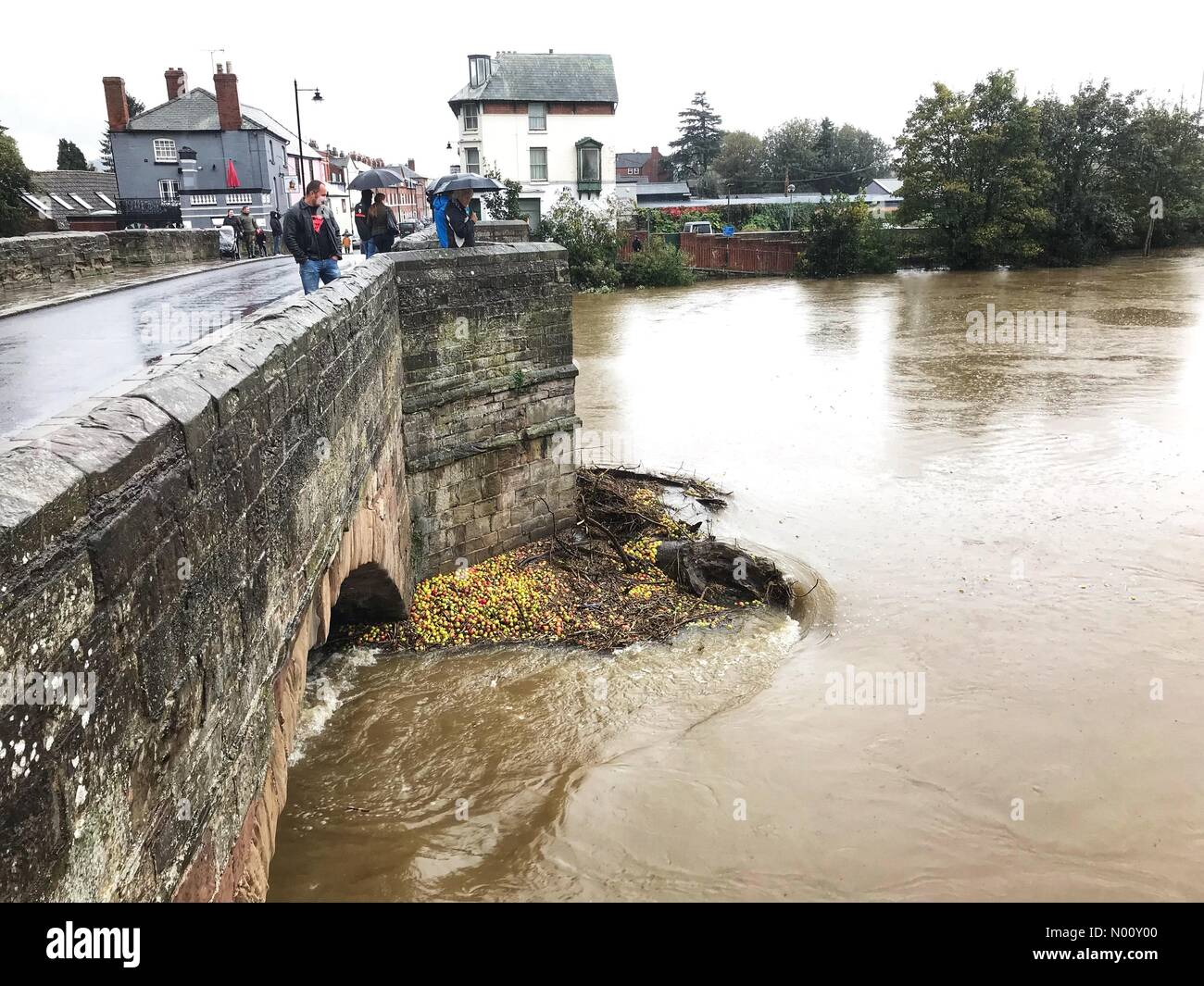 Hereford - Domenica 14 Ottobre 2018 - Visitatori guarda i che scorre veloce ad alto livello di fiume sul fiume Wye. Molti alberi di mele sono state lavate via Monte Credito: Steven Maggio/StockimoNews/Alamy Live News Foto Stock