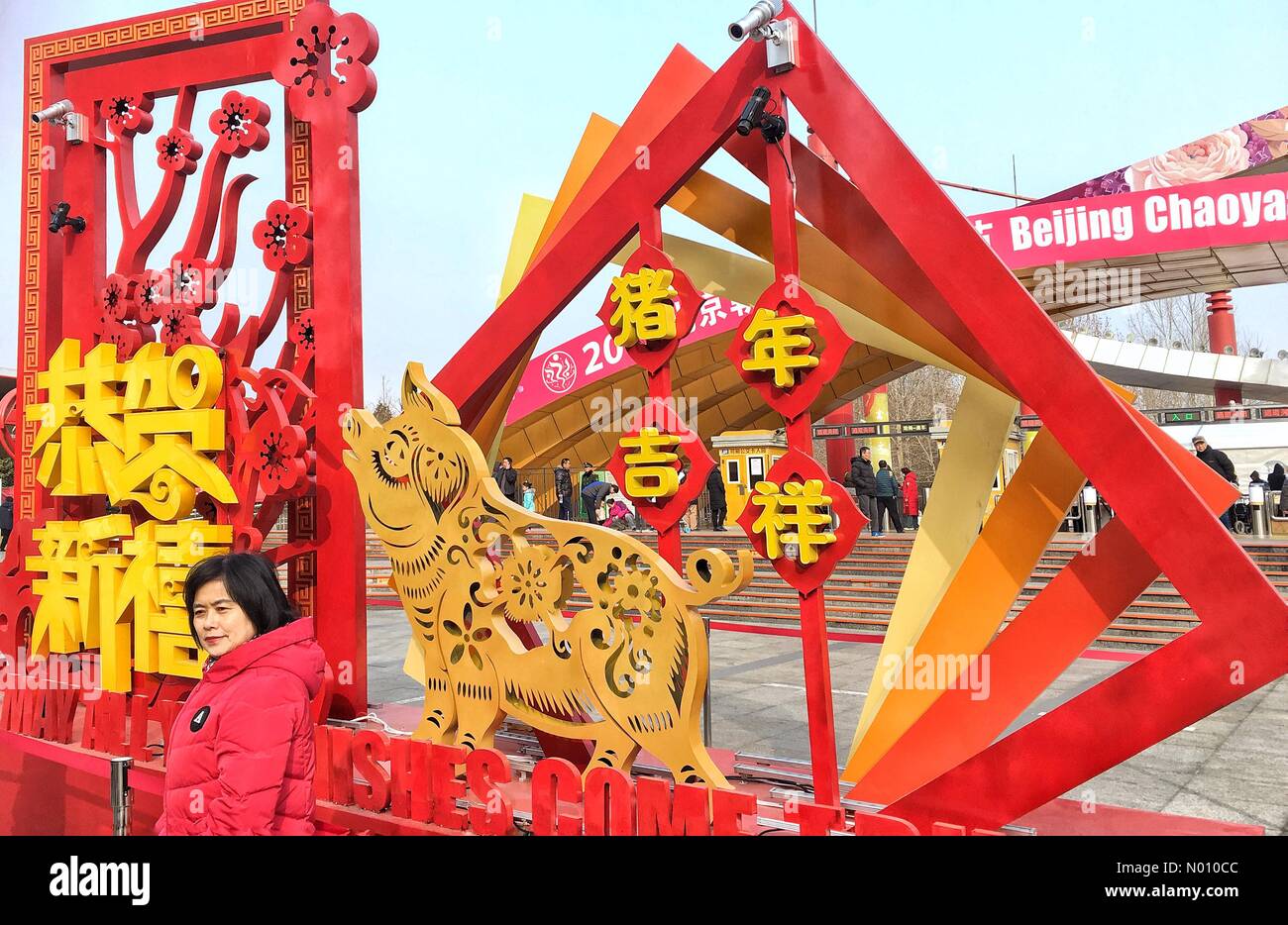 Pechino, Cina - 6 Febbraio 2019: decorazione per celebrare il nuovo anno lunare/Festa di Primavera nel Parco Chaoyang a Pechino in Cina. Credito: Irkin09/StockimoNews/Alamy Live News Foto Stock