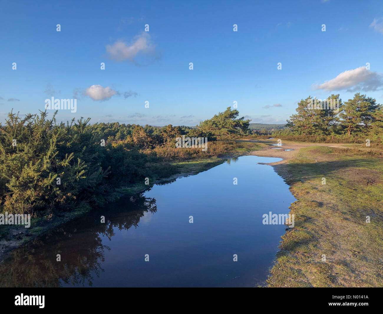 Regno Unito Meteo: Sunny in Elstead. Hankley comune, Elstead. 27 dicembre 2020. Clima freddo ma soleggiato dopo Storm Bella ieri sera. Sole sopra Hankley comune a Elstead in Surrey. Credit: Jamesjagger/StockimoNews/Alamy Live News Foto Stock