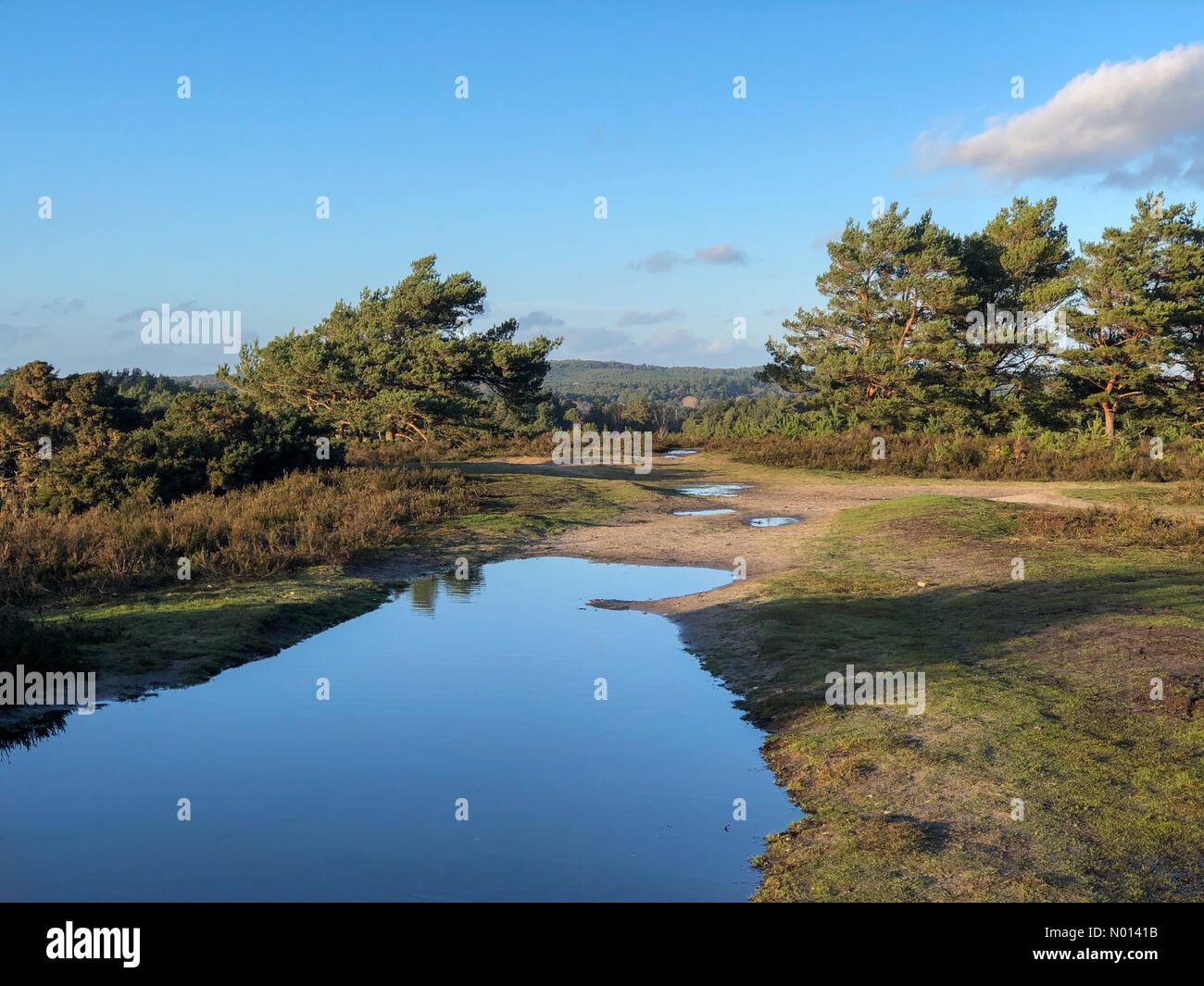 Regno Unito Meteo: Sunny in Elstead. Hankley comune, Elstead. 27 dicembre 2020. Clima freddo ma soleggiato dopo Storm Bella ieri sera. Sole sopra Hankley comune a Elstead in Surrey. Credit: Jamesjagger/StockimoNews/Alamy Live News Foto Stock