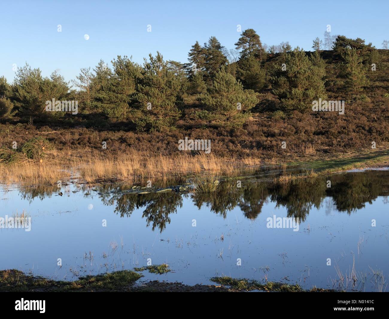 Regno Unito Meteo: Sunny in Elstead. Hankley comune, Elstead. 27 dicembre 2020. Clima freddo ma soleggiato dopo Storm Bella ieri sera. Sole sopra Hankley comune a Elstead in Surrey. Credit: Jamesjagger/StockimoNews/Alamy Live News Foto Stock